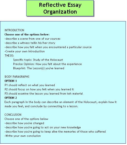 The organization essay